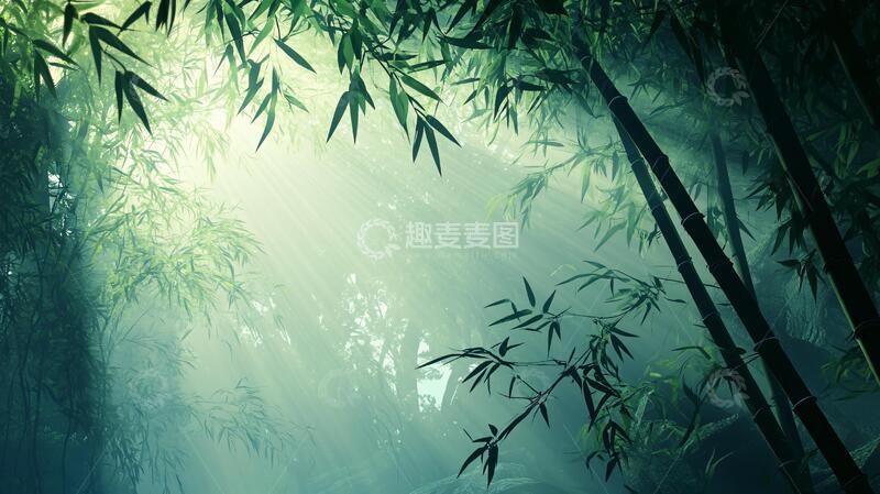 高清大图下载【趣麦麦图】唯美竹影竹韵22