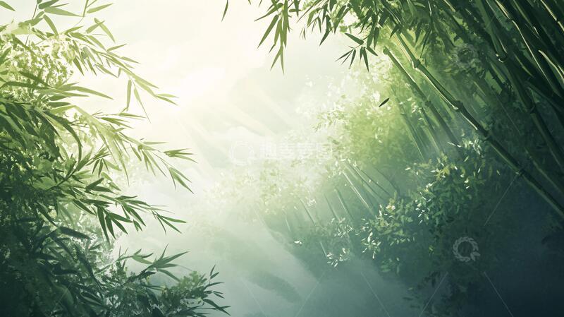 高清大图下载【趣麦麦图】唯美竹影竹韵20