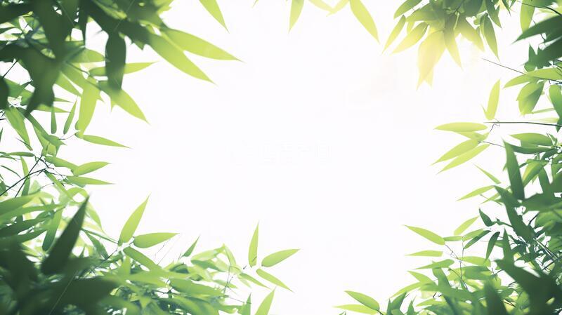 高清大图下载【趣麦麦图】竹叶边框背景素材