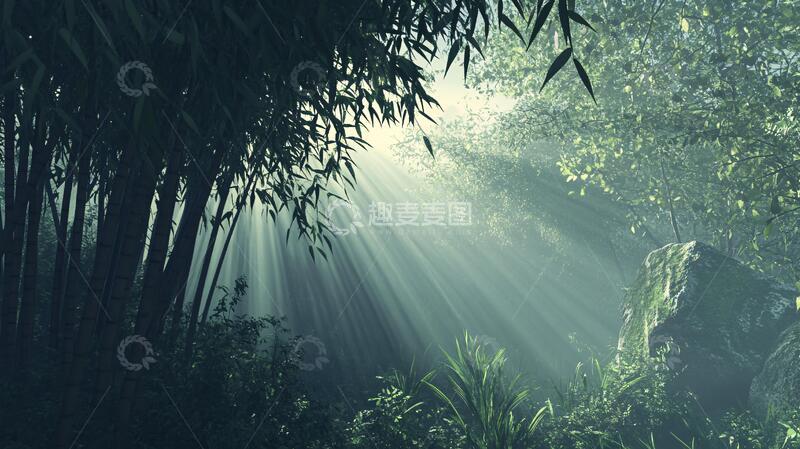 高清大图下载【趣麦麦图】竹林里的阳光