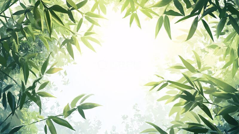 高清大图下载【趣麦麦图】唯美竹叶背景24