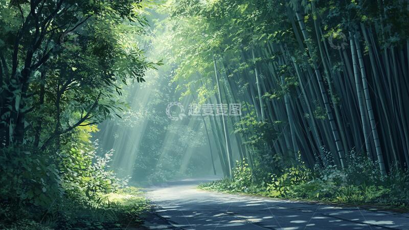 高清大图下载【趣麦麦图】竹林意境图小路背景小道