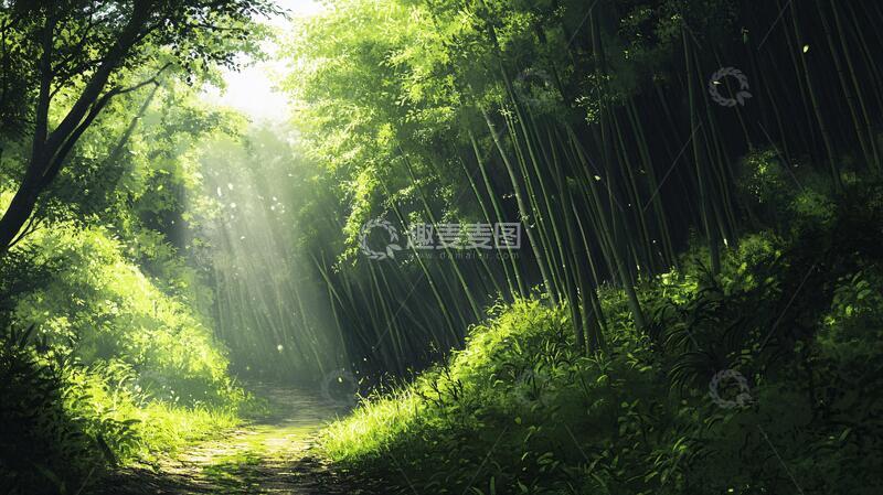 高清大图下载【趣麦麦图】云栖竹径萤火虫