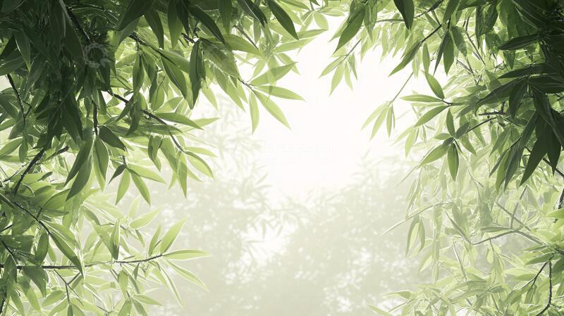 高清大图下载【趣麦麦图】唯美竹叶背景17