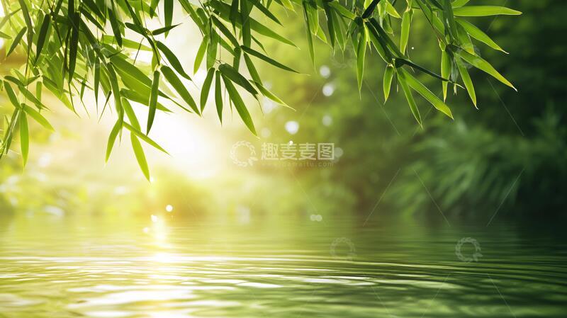 高清大图下载【趣麦麦图】唯美竹影竹韵2