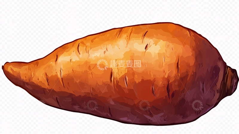 高清大图下载【趣麦麦图】手绘红薯插画