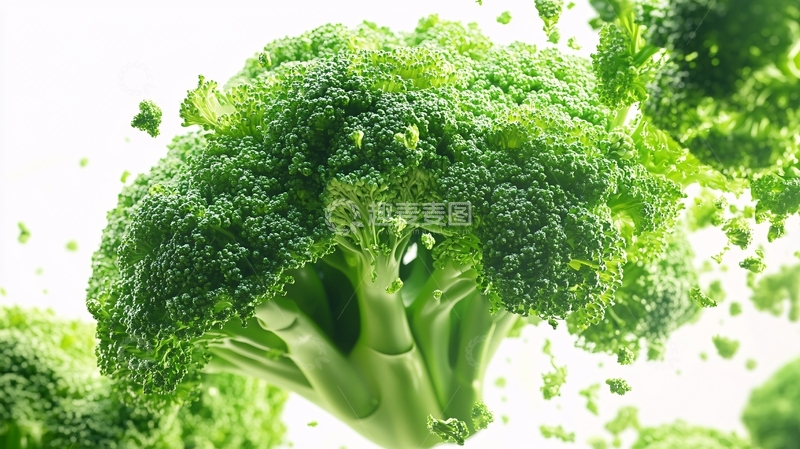 高清大图下载【趣麦麦图】西蓝花渲染图11