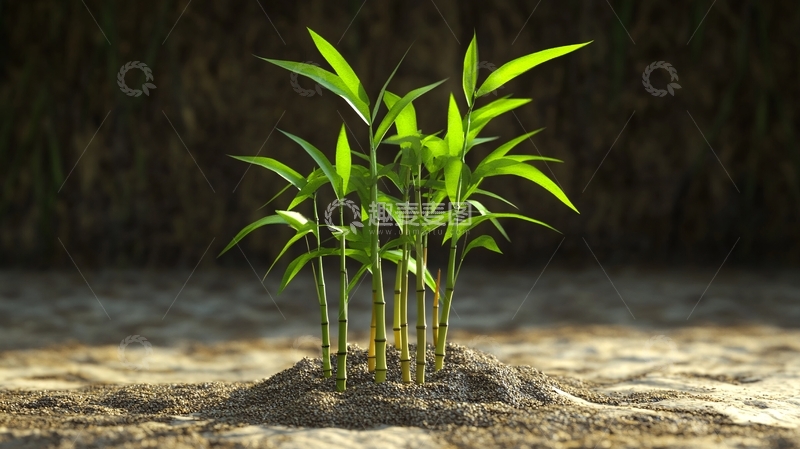 高清大图下载【趣麦麦图】绿色环保竹林壁纸10