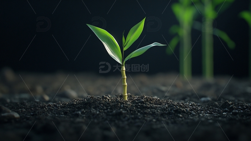 高清大图下载【趣麦麦图】生命发芽生长