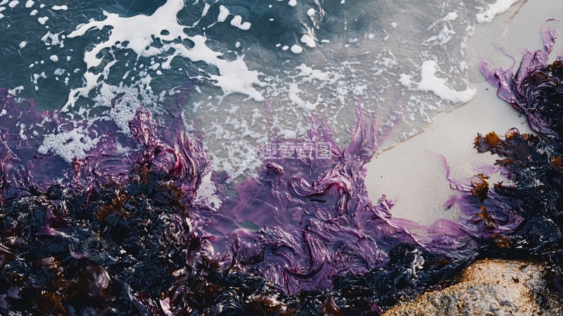 高清大图下载【趣麦麦图】紫色的海水