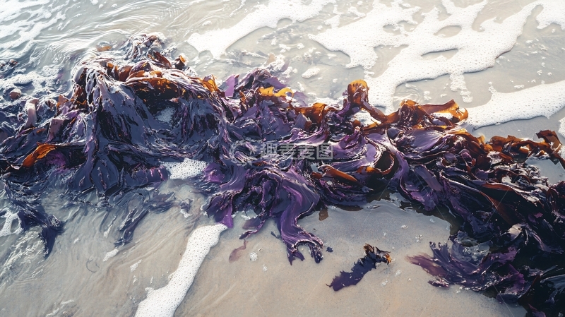 高清大图下载【趣麦麦图】水墨泼墨抽象