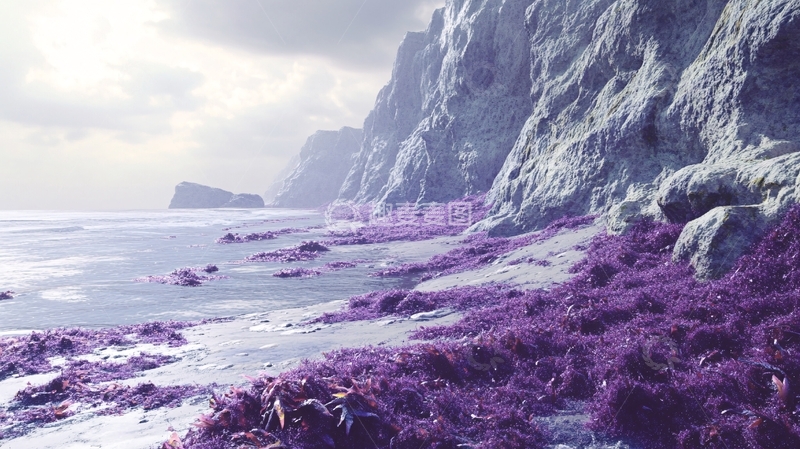 高清大图下载【趣麦麦图】海藻生长水域1