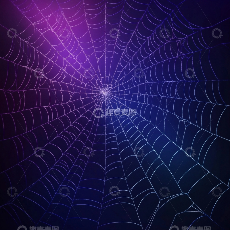 高清大图下载【趣麦麦图】蜘蛛网背景素材1
