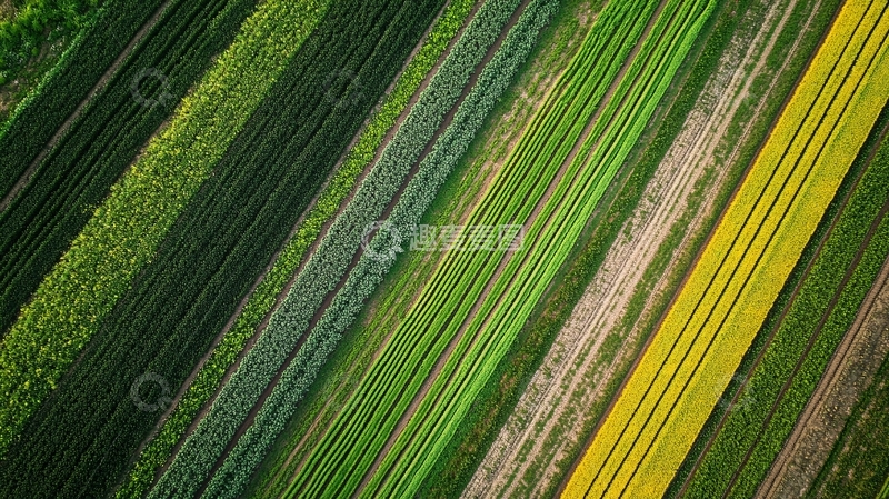 高清大图下载【趣麦麦图】彩色农田