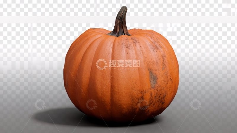 高清大图下载【趣麦麦图】写实南瓜1