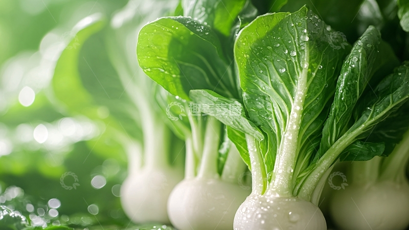 高清大图下载【趣麦麦图】青菜高清图片