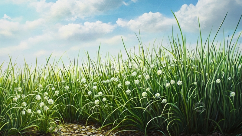 高清大图下载【趣麦麦图】高清韭菜花6