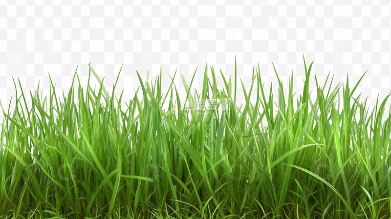 高清大图下载【趣麦麦图】-草坪实物