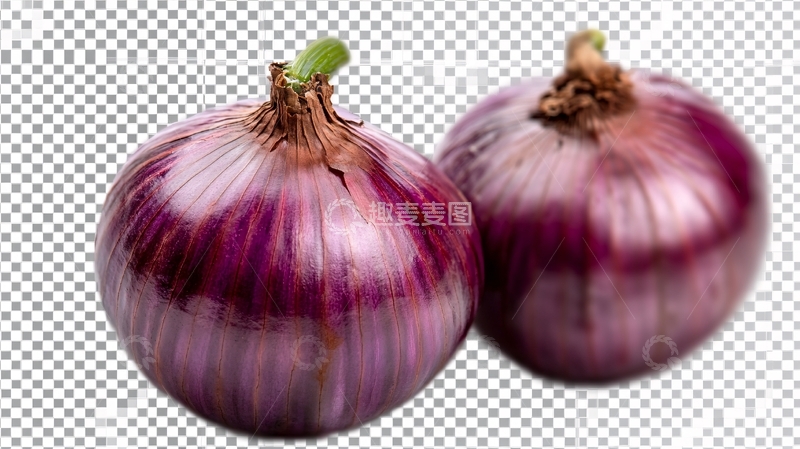 高清大图下载【趣麦麦图】洋葱素材下载6
