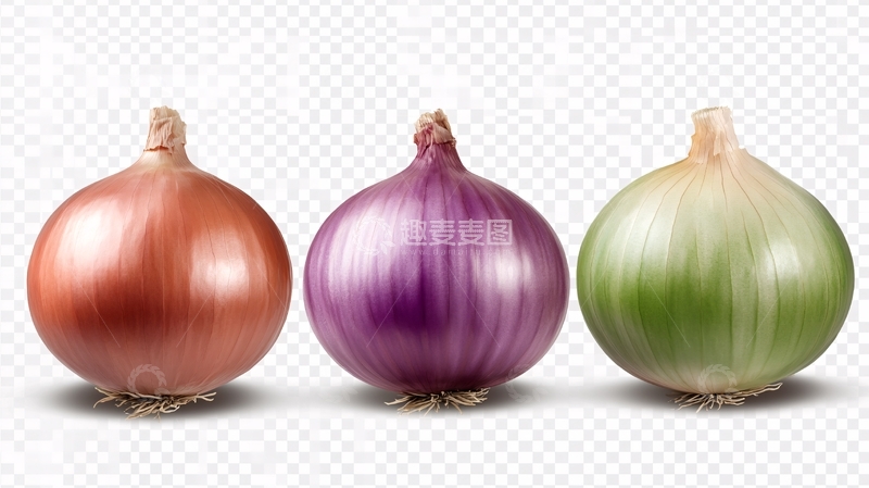 高清大图下载【趣麦麦图】洋葱素材下载4