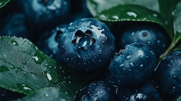 雨天蓝莓果