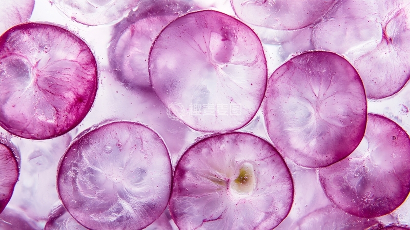 高清大图下载【趣麦麦图】整形细胞素材1