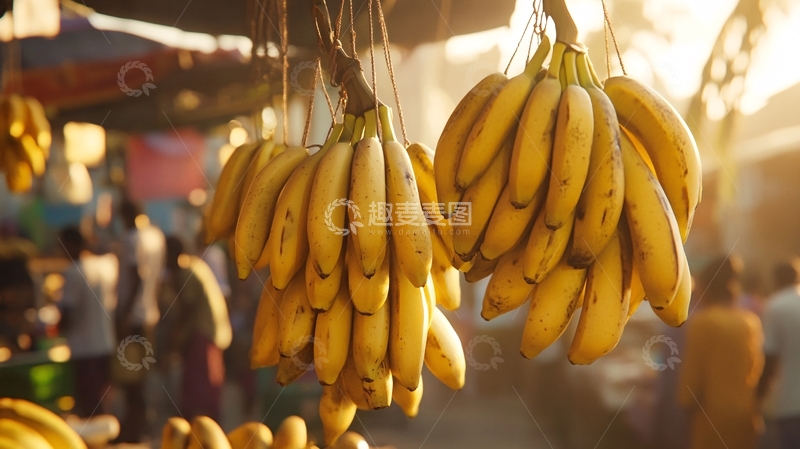高清大图下载【趣麦麦图】香蕉摆摊