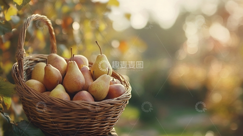 高清大图下载【趣麦麦图】整篮梨子装饰