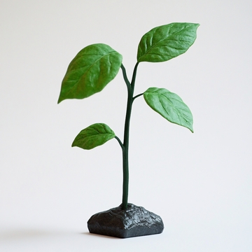 顽强的植物幼苗