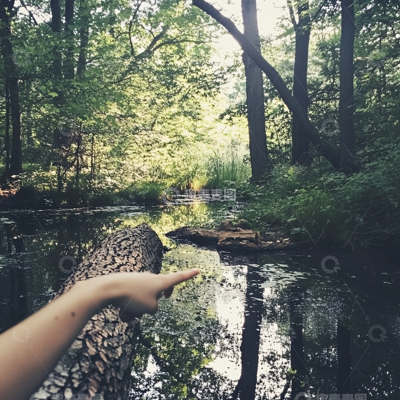 高清大图下载【趣麦麦图】森林水池