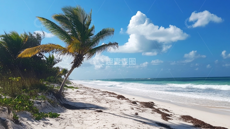 高清大图下载【趣麦麦图】热带风光海滨风光14