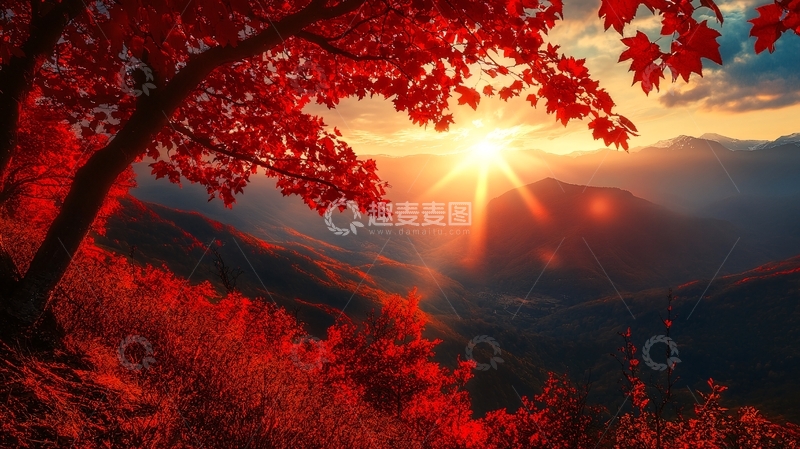 高清大图下载【趣麦麦图】红枫早晨风光6