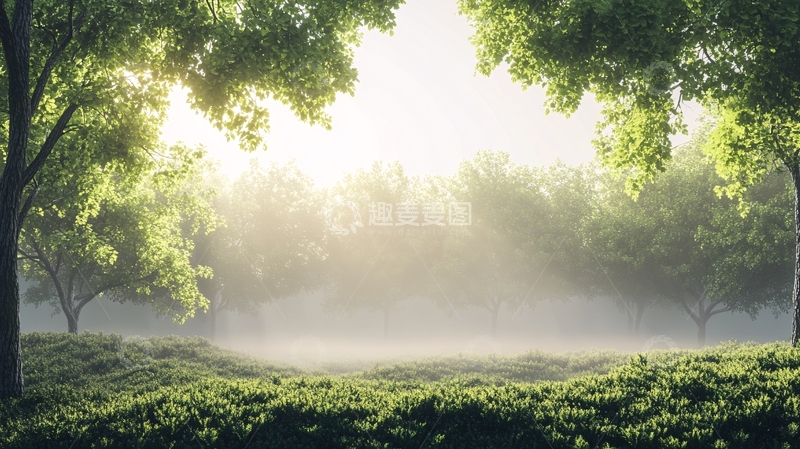 高清大图下载【趣麦麦图】清晨森林晨雾