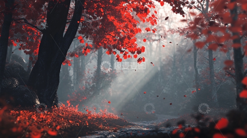 高清大图下载【趣麦麦图】梦幻枫林1