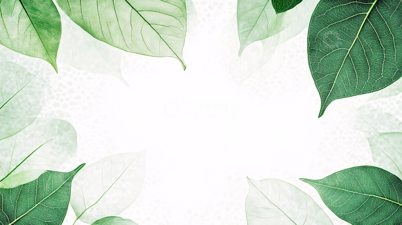 高清大图下载【趣麦麦图】绿叶背景设计素材1