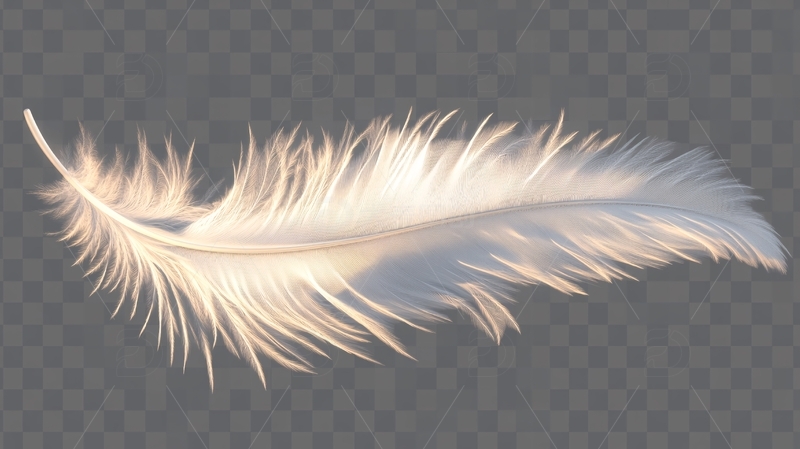 高清大图下载【趣麦麦图】轻羽光影