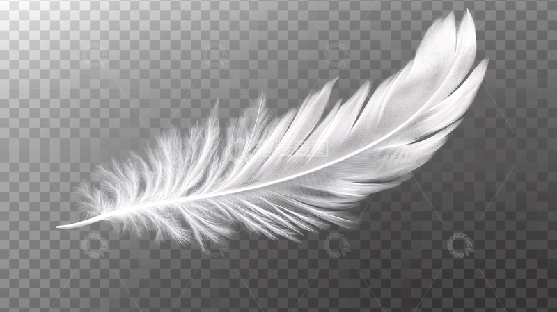 高清大图下载【趣麦麦图】黑白鹅毛