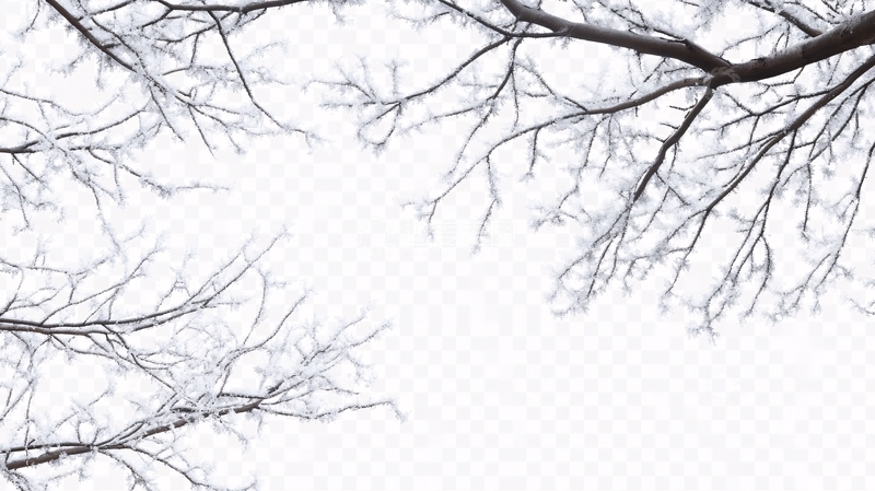 高清大图下载【趣麦麦图】树枝素材冬天树枝