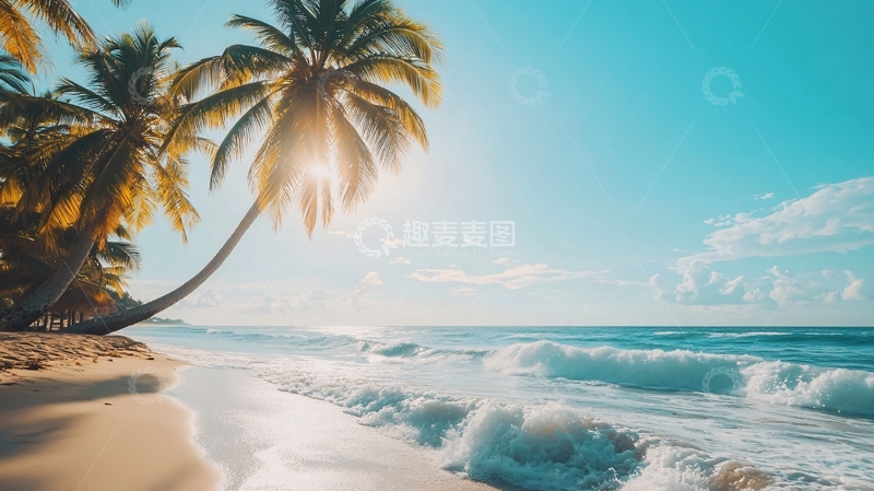 高清大图下载【趣麦麦图】海边夕阳椰树7