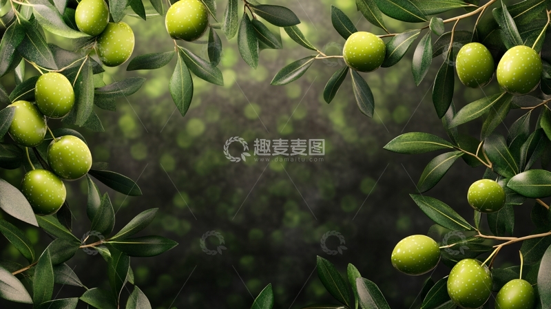 高清大图下载【趣麦麦图】枣树绿叶背景1