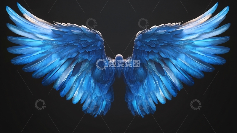 高清大图下载【趣麦麦图】翅膀素材