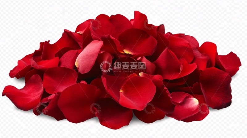 高清大图下载【趣麦麦图】玫瑰花瓣素材