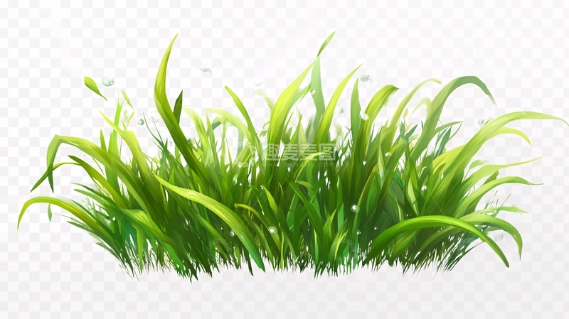 高清大图下载【趣麦麦图】小草素材下载3