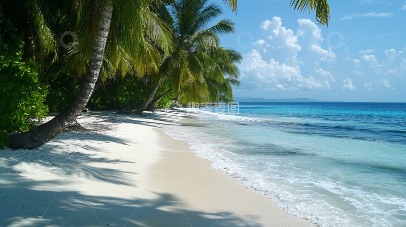 高清大图下载【趣麦麦图】椰林海滩图片素材下载4
