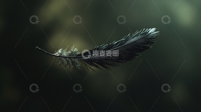 高清大图下载【趣麦麦图】uhd壁纸4