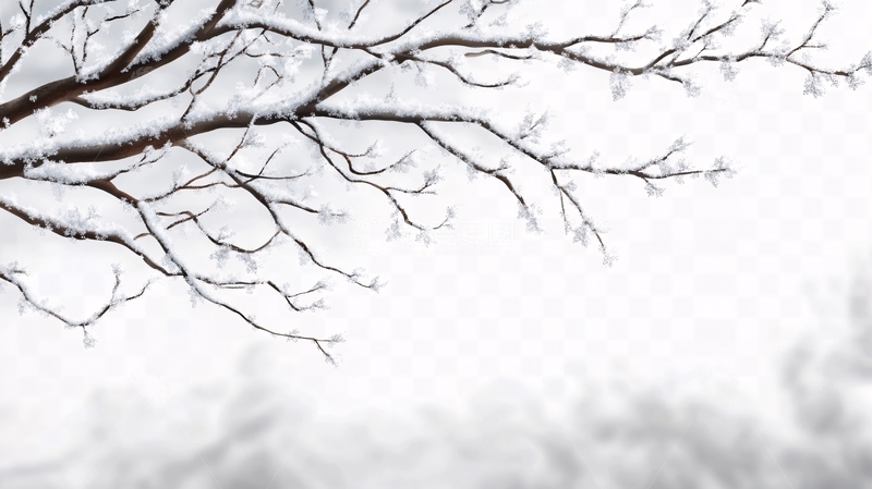 高清大图下载【趣麦麦图】冬季冬天枝干