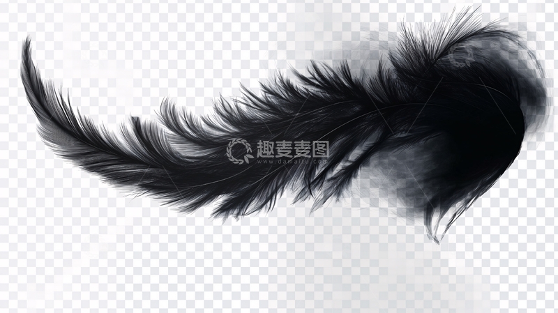 高清大图下载【趣麦麦图】水墨翅膀1