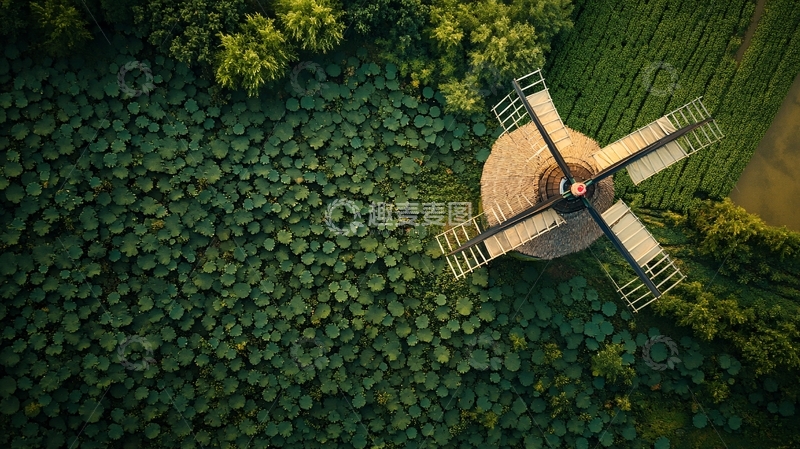 高清大图下载【趣麦麦图】航拍俯视荷花池