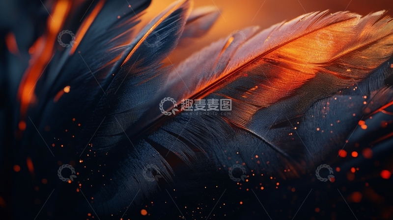 高清大图下载【趣麦麦图】-热情橙色静谧蓝色背景7