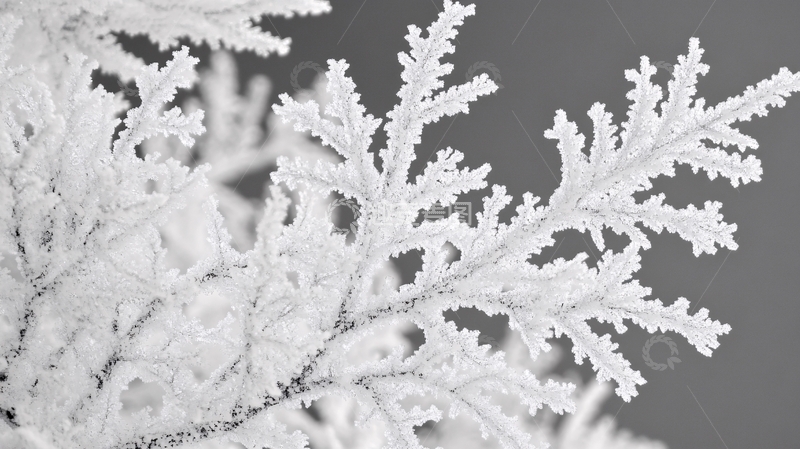 高清大图下载【趣麦麦图】霜花高清图1